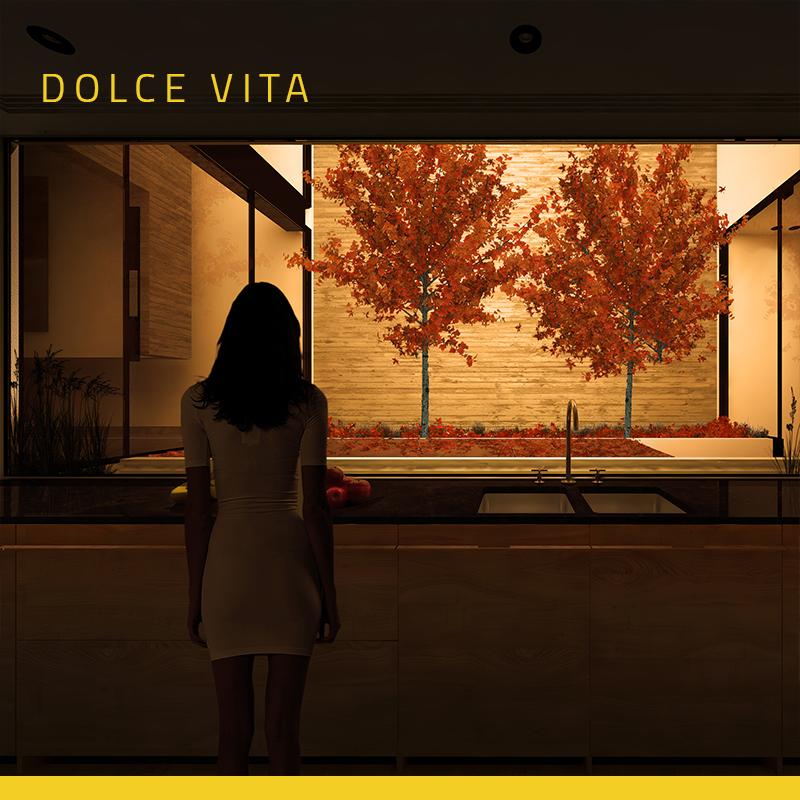 Dolce Vita Architectural Competition Cover